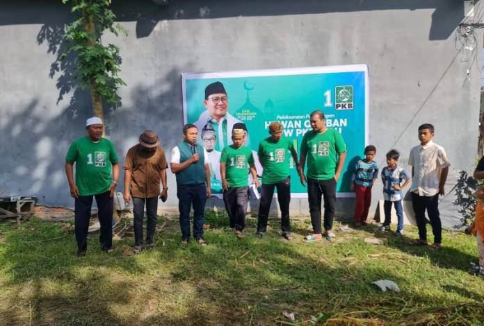 Salurkan ke Masyarakat Kurang Mampu, PKB Riau Sembelih 4 Sapi Kurban