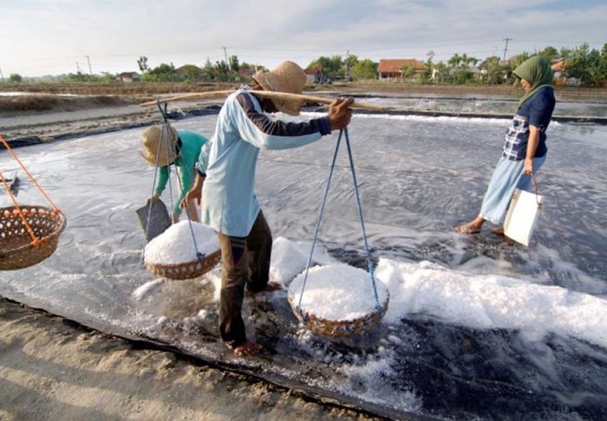 Stok Garam Berkurang di Riau, Bulog Belum Bisa Berbuat Apa-apa