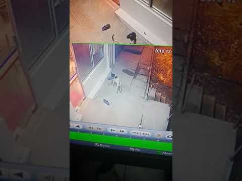 Terekam CCTV Saat Mencuri Rumah Tetangga, Adi Diciduk Polisi