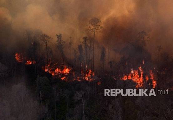 Kebakaran Hutan Menewaskan 23 Orang di Chile