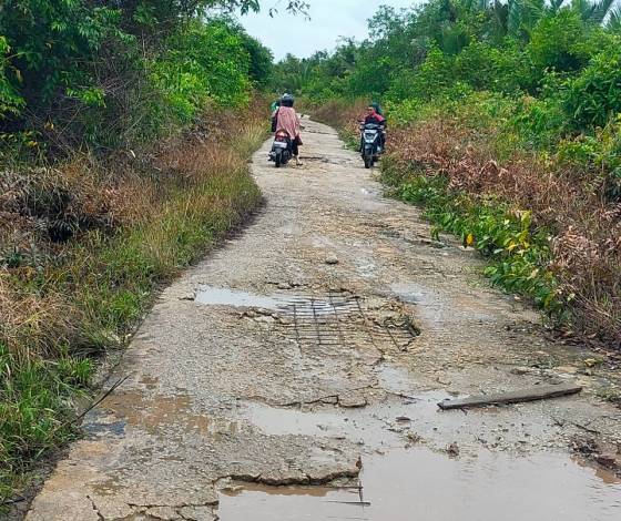 Eddy Yatim: Pemprov Riau dan Pusat Harus Turun Tangan