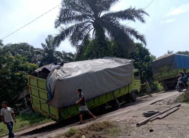 Jalan Provinsi di Inhu Rusak karena Angkutan Batubara, Aktivis Minta Gubri Syamsuar Tegas