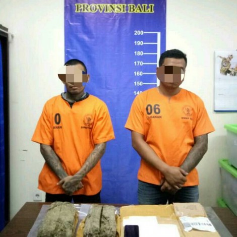 Dua Penerima Paket Ganja dari Pekanbaru di Bali Ditangkap, Ternyata Residivis