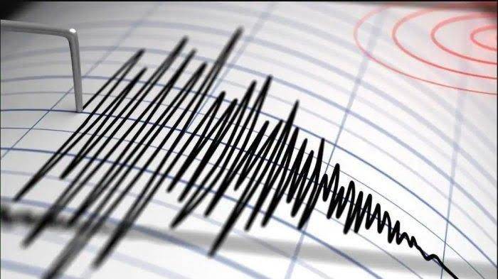 Baru Saja, Gempa M 4,2 Guncang Halmahera Barat Maluku Utara