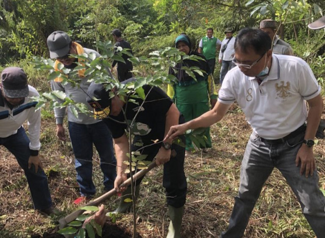Peringati Hari Bhakti Rimbawan, DLHK Riau Tanam 10 Ribu Bibit Pohon