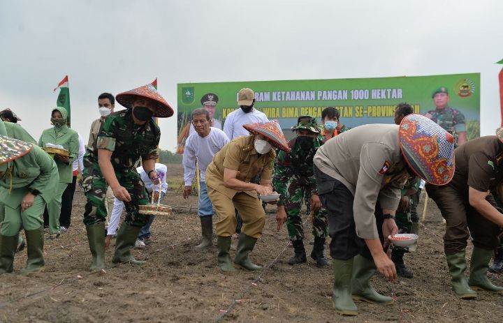 1.000 Hektare Lahan Disiapkan untuk Tingkatkan Ketahanan Pangan Riau