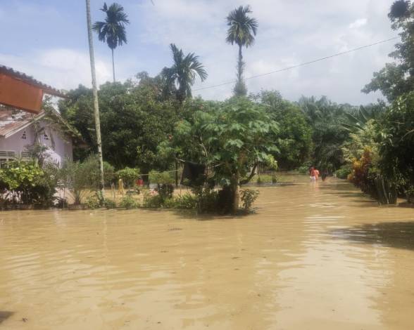 Banjir Melanda Beberapa Wilayah di Kuansing, Ratusan Rumah Terendam