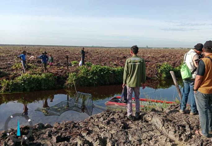 Buaya 3 Meter Muncul di Kanal, BBKSDA Riau Pasang Perangkap