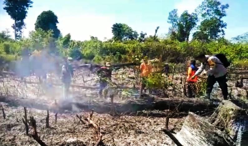 1 Hektare Lahan di Kepenuhan Terbakar, Satreskrim Polres Rohul Lakukan Penyelidikan