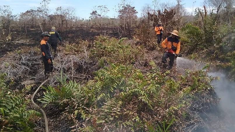 Bulan Puasa, Satgas Karhutla Riau Berjibaku Padamkan Kebakaran di Desa Teluk Pambang Bengkalis