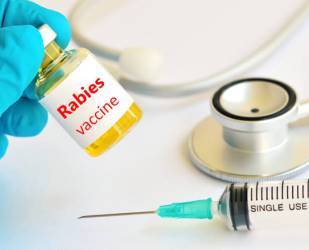 Stok Vaksin Anti Rabies Hewan Peliharaan di Riau Sisa 7.083 Vial