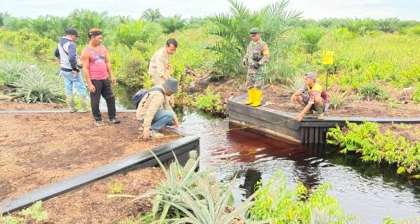 Jaga Kebasahan Gambut, DLHK Riau Bangun Sekat Kanal di Pelalawan dan Rohil