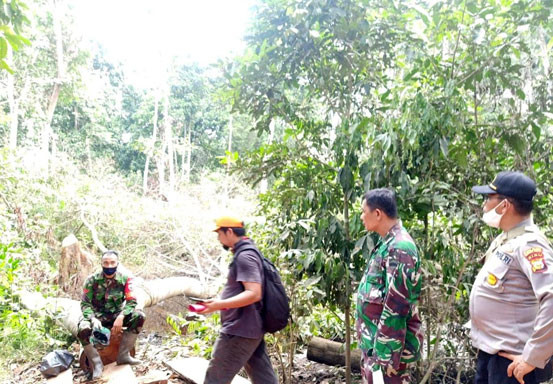 TNI dan Polri Tingkatkan Patroli untuk Cegah Karlahut di Rohul