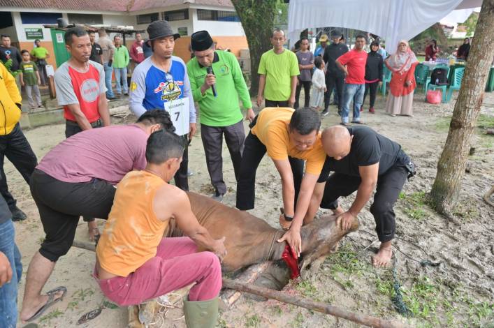 RSUD Arifin Achmad Riau Sembelih Hewan Kurban 13 Ekor Sapi dan 1 Kambing