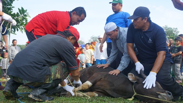 IMRA Riau Komplek Bagikan Ribuan Kantong Daging Kurban