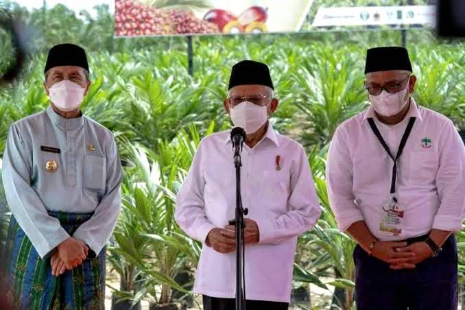 Apkasindo Minta Gubernur di Indonesia Tiru Gubri Syamsuar yang Peduli Petani Sawit