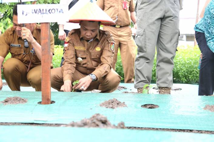 Pj Walikota Ajak Masyarakat Pekanbaru Tanam Cabai di Pekarangan Rumah