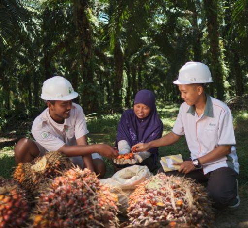 Apical Menangkan Lima Penghargaan di Sustainable Business Award Indonesia 2020/2021