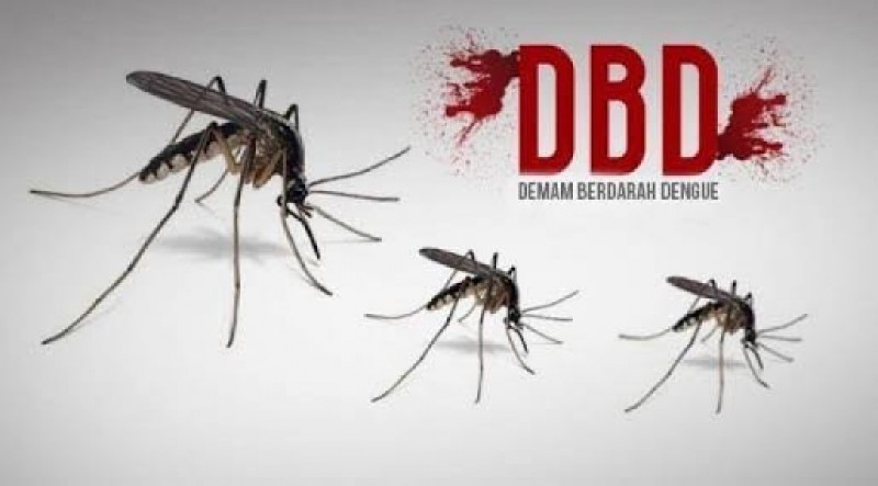 Dua Orang Meninggal karena DBD, Begini Reaksi DPRD Riau