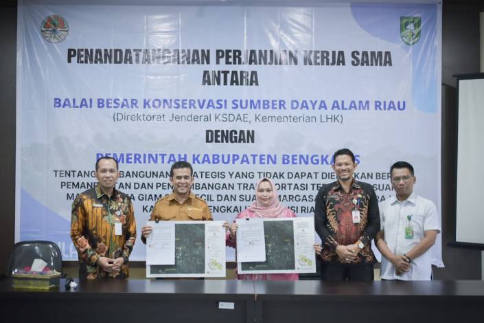 Bupati Kasmarni Tandatangani Kerjasama dengan Kepala BKSDA Riau, Ini Tujuannya