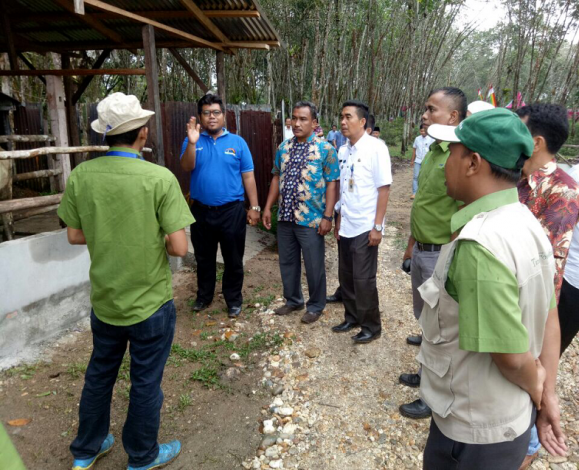 Desa Banjar Benai di Kuansing Bakal Menjadi Pusat Pengembangan Sapi
