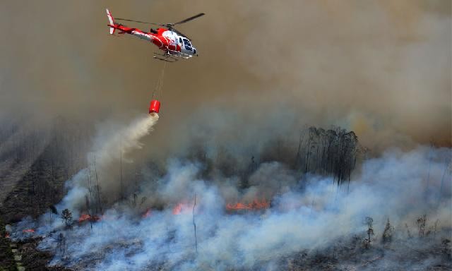Dewan Minta Perusahaan Pembakar Lahan dan Hutan Diberikan Sanksi
