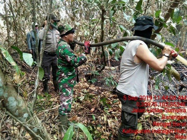 TNI Berjibaku Padamkan Karhutla di Desa Seluti, Inhu
