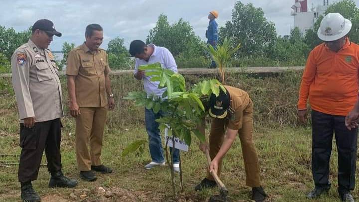 Hijaukan Lingkungan, Pelabuhan Tanjung Buton Siak Ditanami 2000 Bibit Pohon