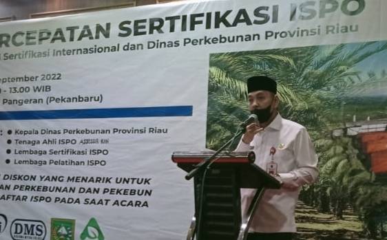 Baru 30 Persen Pelaku Usaha Sawit di Riau Miliki Sertifikasi ISPO