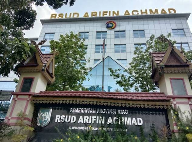 Tingkat Pelayanan, RSUD Arifin Achmad Riau Ingin Tambahan Tenaga Kesehatan PPPK