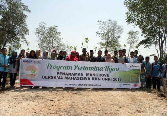 Mahasiswa UNRI Gandeng Pertamina Sei Pakning Tanam Pohon Mangrove di Desa Tanjung Leban