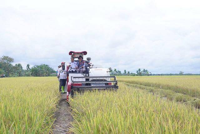 Gubernur Riau Ajak Petani Bayar Zakat saat Panen Raya di Bunga Raya