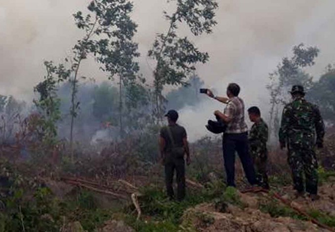 4 Hektar Lahan di Kelurahan Tanjung Penyebal Dumai Terbakar