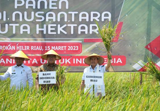 Gubri Syamsuar Panen Raya Padi Nusantara 1 Juta Hektar di Rimba Melintang