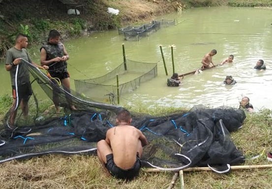 Perkuat Tahanan Pangan, Batalyon Komando 462 Paskhas Manfaatkan Lahan Kosong Bercocok Tanam dan Budidaya Ikan