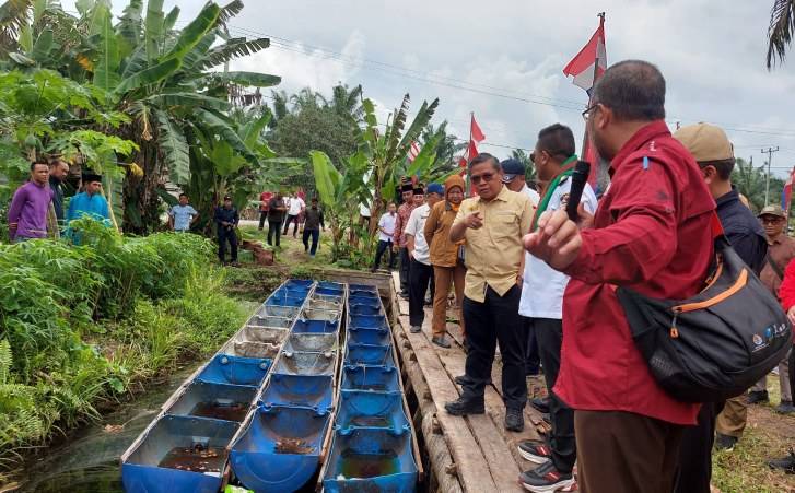 Wamen LHK Berkunjung ke Kabupaten Pelalawan