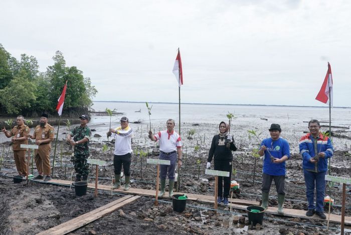 GALERI FOTO: Sempena Hari Mangrove Sedunia, Gubri Tanam Ratusan Ribu Bibit Mangrove