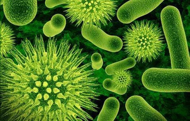 Waspada! Bakteri Ini Kebal 26 Antibiotik