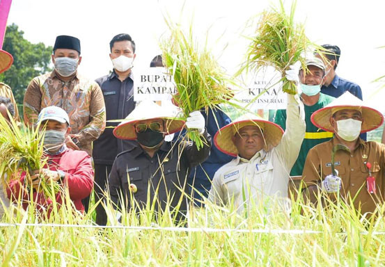 Pemkab Kampar dan KTNA Riau Patok Target Penanam Padi Hingga 6.440 Hektare Sepanjang 2021