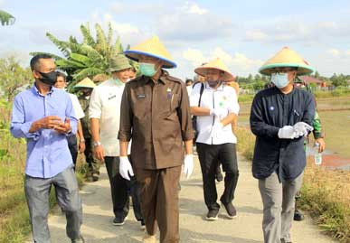 Disaksikan Walikota Pekanbaru, PT SPM dan UPJA Bina Karya Teken Kontrak Farming
