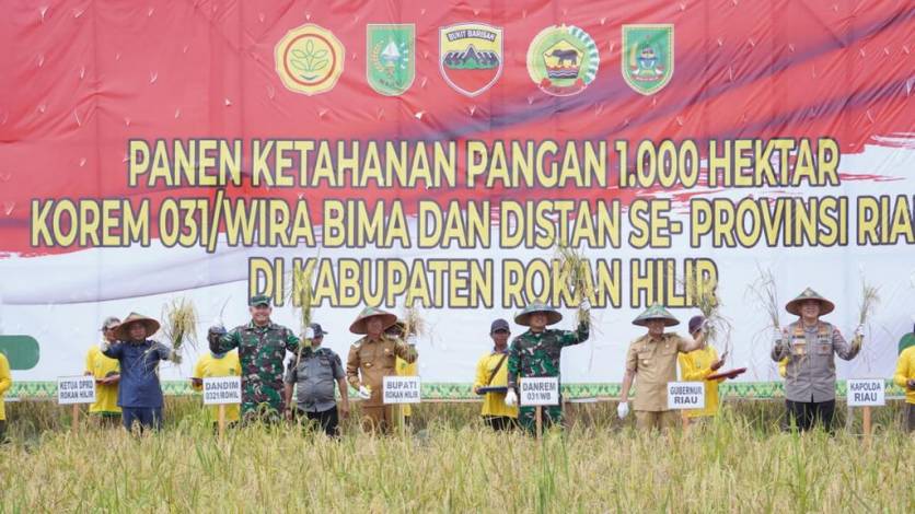 Gubernur Riau, Danrem dan Kapolda Panen Raya Padi di Rohil