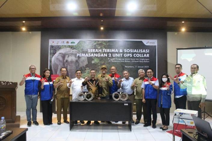 GPS Collar Permudah Pantau dan Lindungi Gajah Sumatra