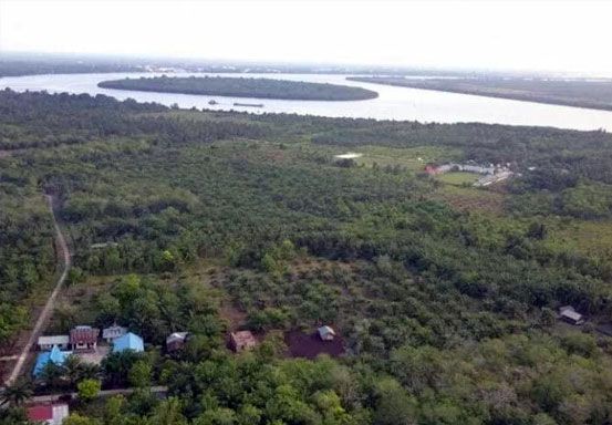 Pantai Beting dan Hutan Mangrove Tanjung Layang di Siak Wisata Bahari Tersembunyi