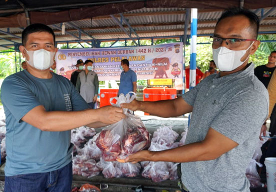 Polres Pelalawan Laksanakan Pemotongan Hewan Kurban 11 Sapi dan 2 Kambing