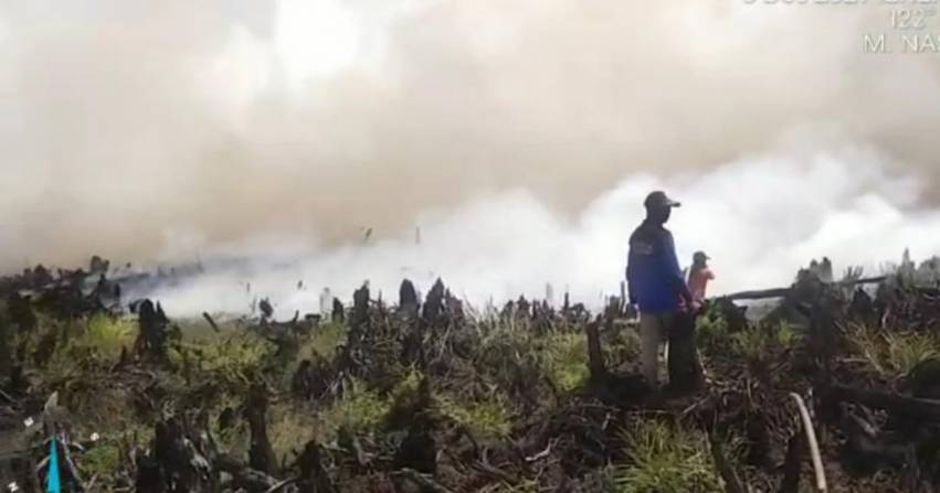 Karhutla Masih Terjadi di Riau, Terbaru di Dua Daerah Ini
