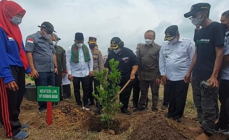 Menteri LHK Tanam Pohon Jeruk di UPSA Desa Kemang Pelalawan