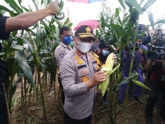 Kapolda Riau Panen Jagung Program Jaga Kampung di Pelalawan