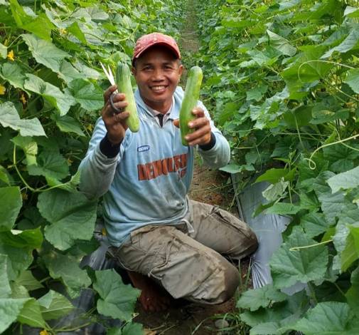 Bisnis Hortikultura Lebih Untung dengan Bantuan PT Ekadura Indonesia