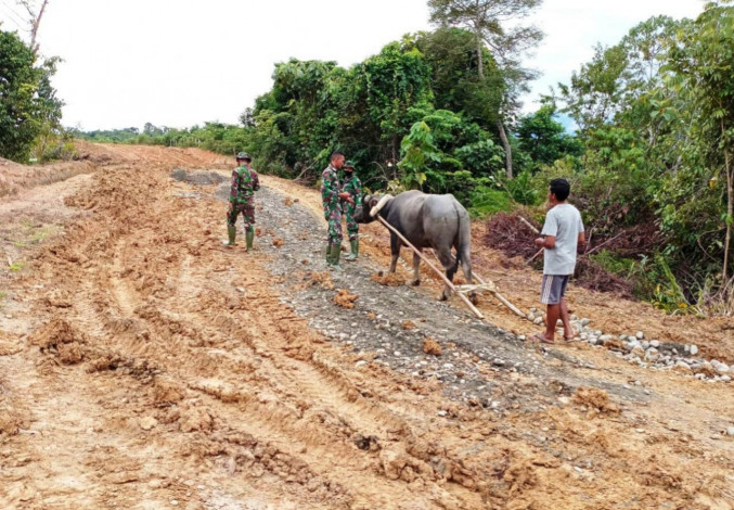 Warga yang Punya Ternak Kerbau pun Merasakan Manfaat Pembangunan TMMD Ke-108 di Desa Lango