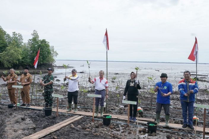 Hari Mangrove Sedunia, Gubri Tanam 200.000 Bibit Mangrove di Bengkalis